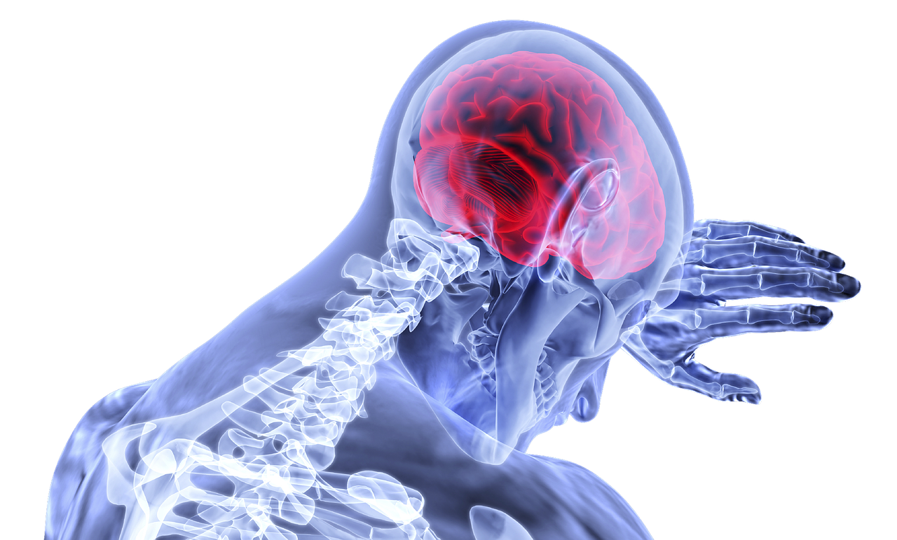 Concussion – 脳震盪のケア